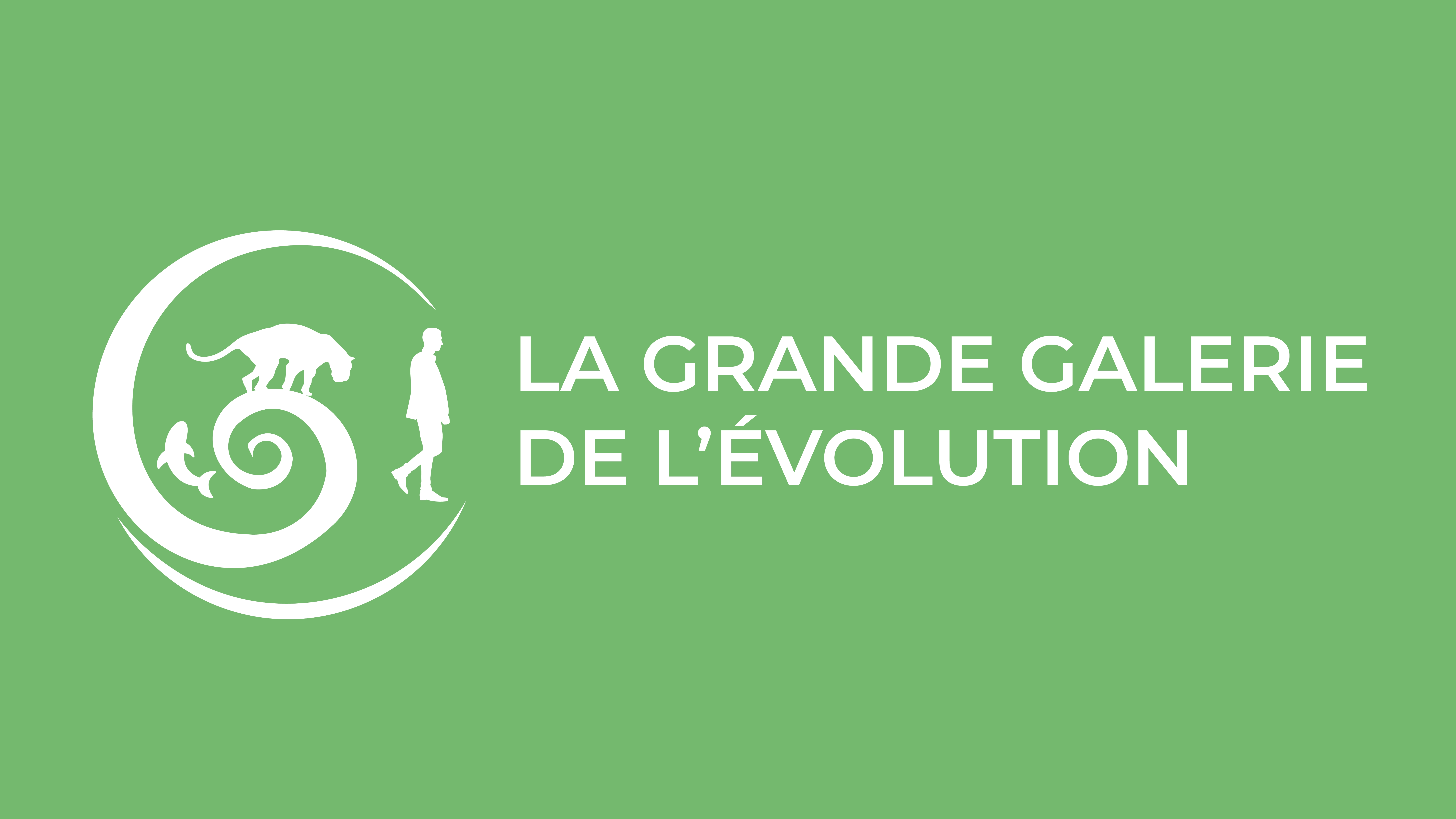 Bandeaux Grande Galerie de l'Évolution